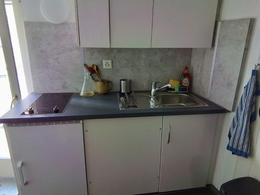 Tiny Flat Apartman St. Gallen Kültér fotó